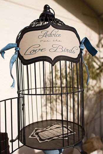 Advice in a Birdcage
