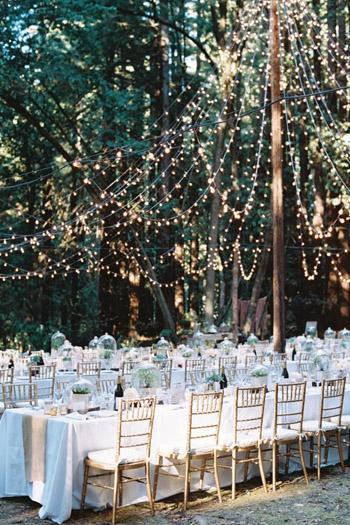 Backyard Weddings