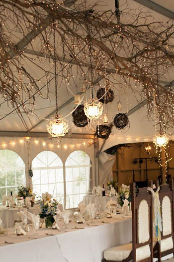 Artistically set up branches